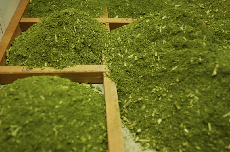 Roteiro, que pretende valorizar o produto, inclui Anta Gorda, Arvorezinha, Doutor Ricardo, Ilópolis, Itapuca, Putinga e Relvado