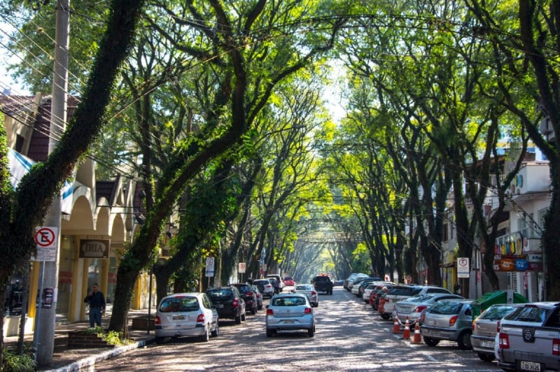 Preocupação é com a vegetação, que engloba cerca de 10 quadras