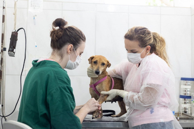 Auxílio terá duração de seis meses e será destinados para 60 defensores