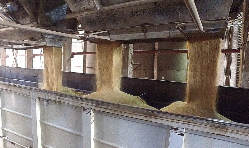 Empresa quer duplicar a capacidade de processamento de soja em três anos