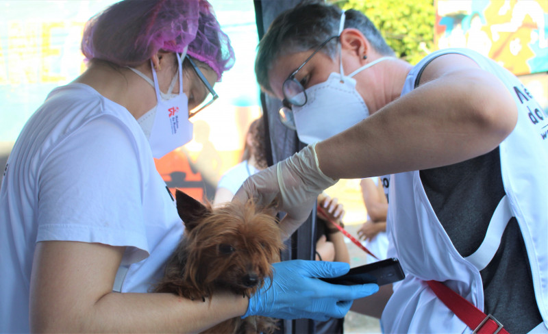 Atendimentos oferecem testes rápidos para doenças e aplicação de vacinas e medicamentos 