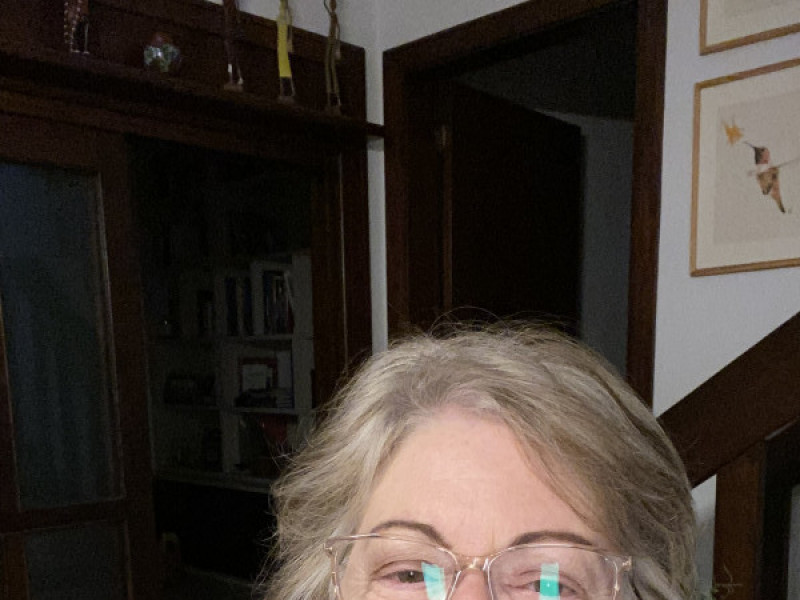 Professora da Ufrgs, Marisa Ribeiro de Itapema Cardoso 