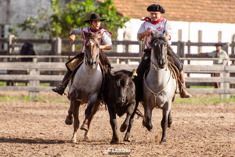 Francisco, montando Jatobá Cala Bassa, e o pai, Marcelo Moglia, sobre Jota Mouro Cala Bassa, dominam a rês na paleteada