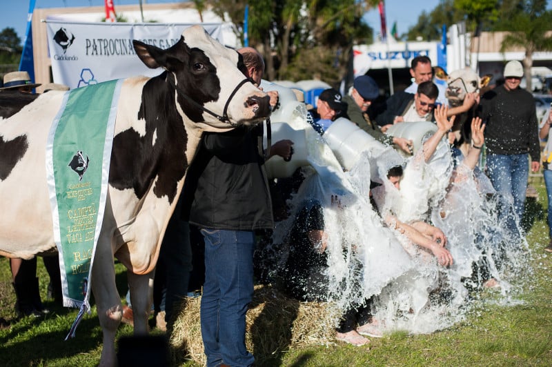 Premiação tem o tradicional banho com mistura de água e leite impróprio para consumo