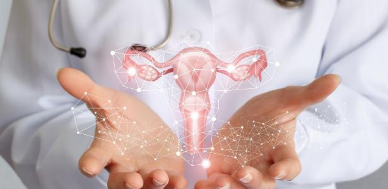 Tecnologia apresentada pela empresa ajuda a detectar lesões e câncer de colo de útero