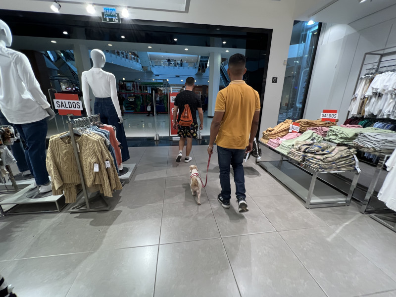 Medida poderá aumentar os custos de 5,7 milhões de empresas do setor 