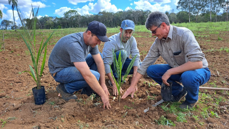 Em Nova Prata, agricultores integraram estudo para o plantio de mudas voltadas à exploração comercial