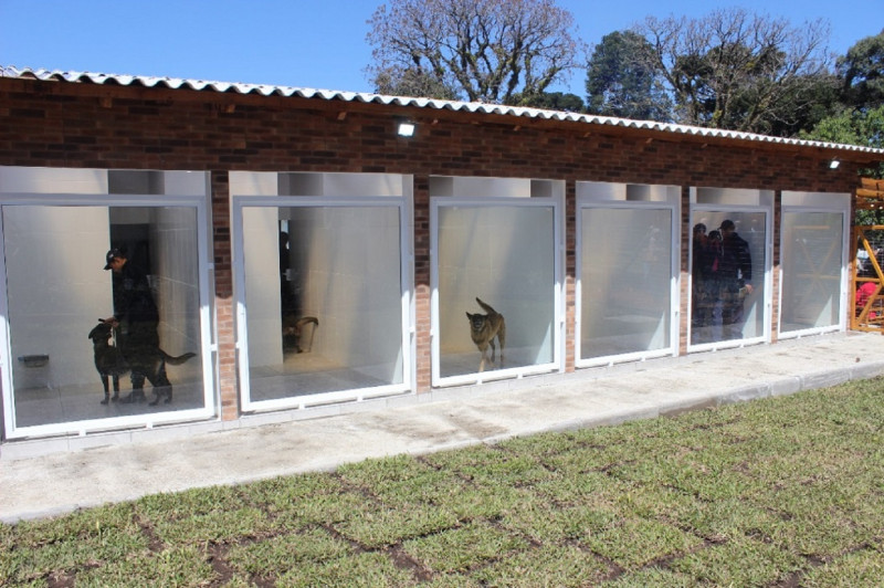 Animais ser&atilde;o treinados para atividades como faro de entorpecentes e interven&ccedil;&atilde;o prisional