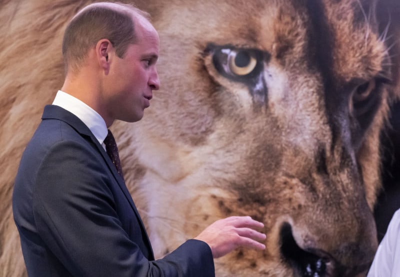  Britain's Prince William, Prince of Wales attends the United for Wildlife (UfW) Global Summit at the Science Museum in London on October 4, 2022. (Photo by Paul Grover / POOL / AFP)