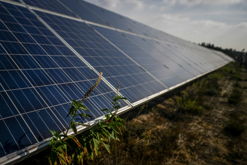 Benefícios da energia solar devem ultrapassar R$ 86,2 bilhões e baratear a conta de luz 