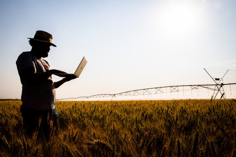 A agropecuária se mantém puxando o desempenho do modelo associativo no Rio Grande do Sul: de cada R$ 100 faturados pelas cooperativas, R$ 63,5 foram da atividade