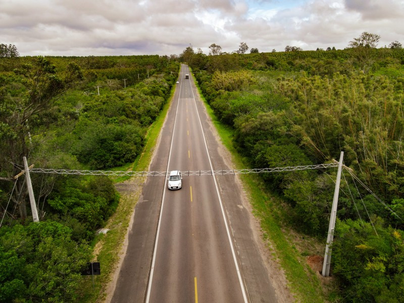 Passadores aéreos facilitam a travessia segura de animais adaptados a viver em árvores 
