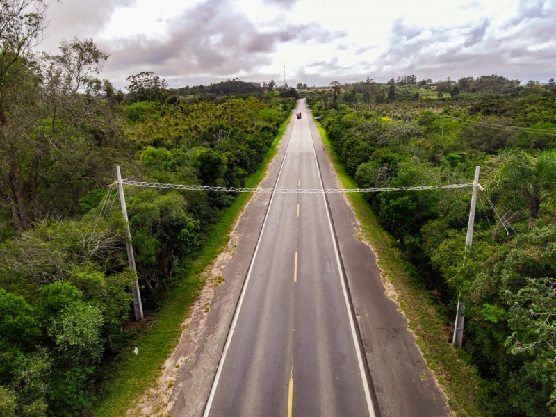 Instalado em dois trechos, passadores têm como objetivo reduzir o número de mortes por atropelamento