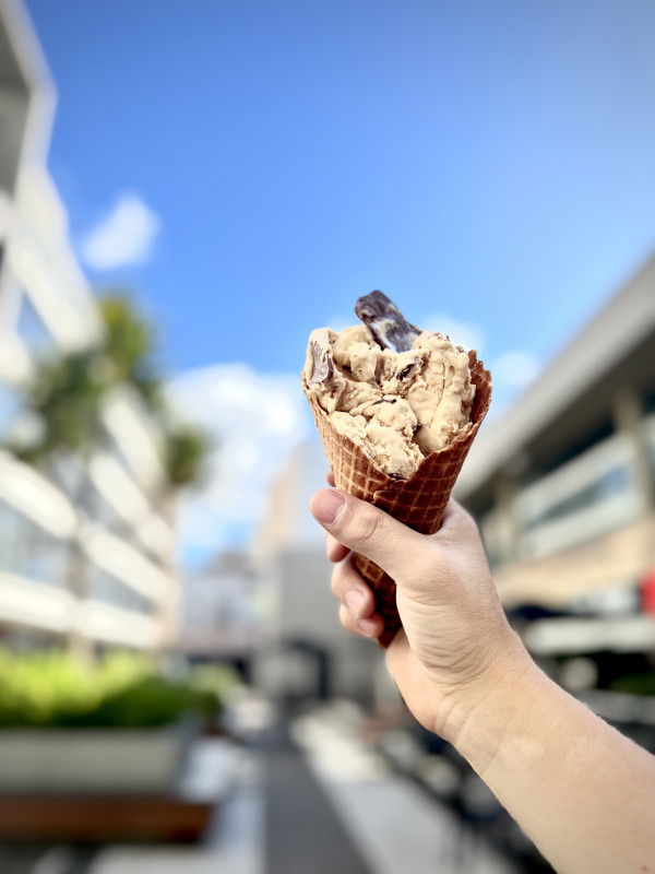 A vitrine de sabores da gelateria se divide entre os clássicos, como o de pistache e chocolate belga, e as receitas autorais ou inspiradas, como o gelato de canela Foto: ARQUIVO PESSOAL/DIVULGAÇÃO/JC