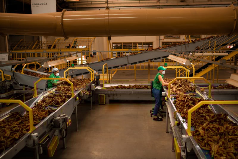 Boa parte do investimento deste ano foi para renovação de máquinas