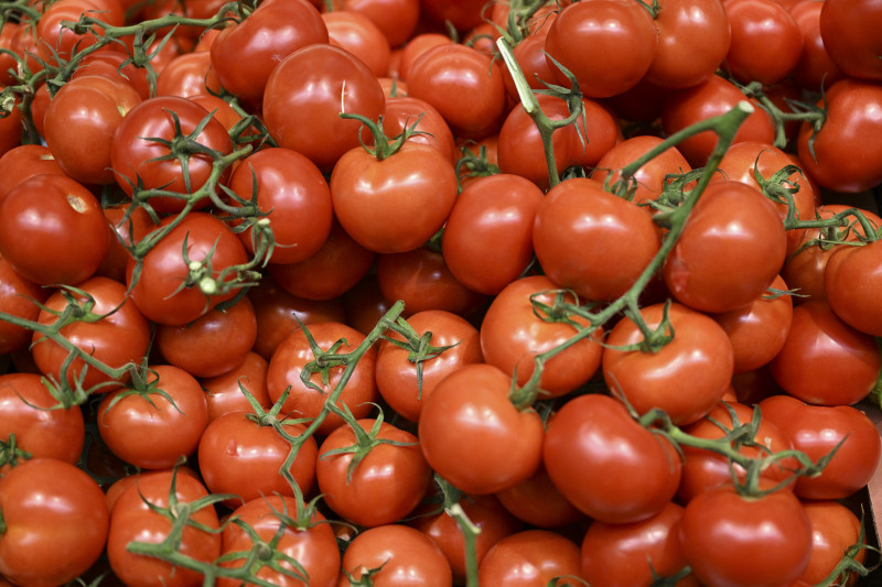Tomate foi o produto que apresentou maior queda de preço na capital gaúcha em novembro