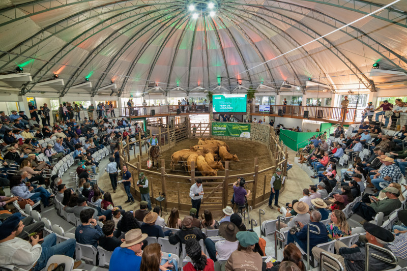 Estudantes aprenderam a história da cidade e o potencial do setor do agronegócio