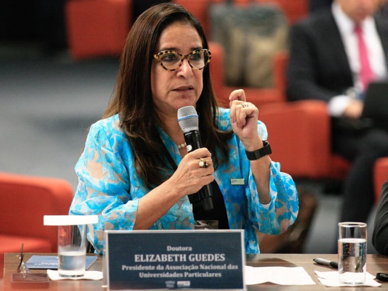 A empresária Elizabeth Guedes, que atua pelos interesses do ensino superior privado, foi escolhida para integrar o órgão