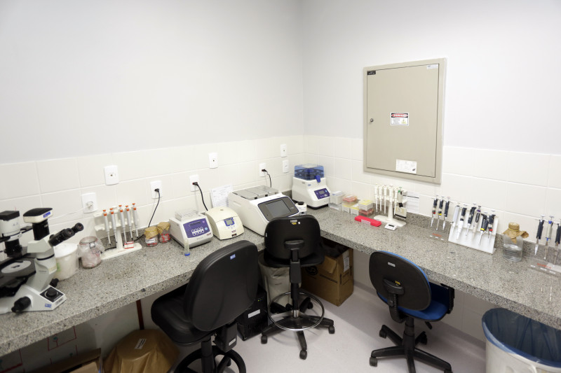 Laboratório será o 3º no RS a fazer pesquisas com patogênicos