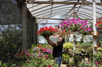 Kelly Costa aprendeu a cuidar das flores e plantas com seu pai, que segue ajudando no negócio até hoje 