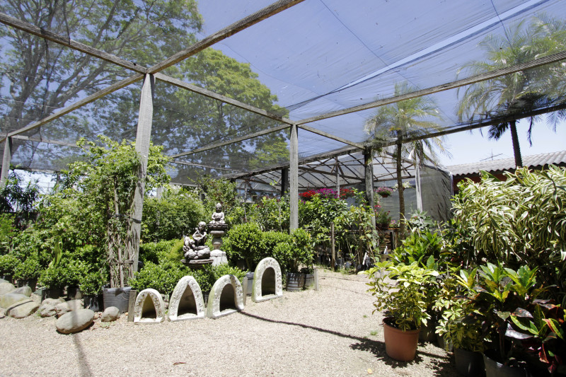 Kelly Costa, da Floricultura Dois Irmãos - GE nos bairros - Restinga -   Foto: ISABELLE RIEGER/JC