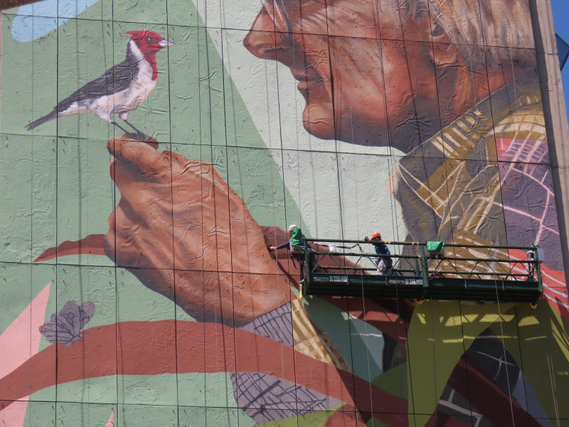 Mural Lutz é uma homenagem ao ambientalista gaúcho José Antonio Lutzenberger, que se tornou um ícone na luta pela preservação ambiental