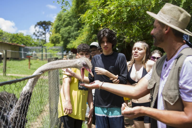 Os visitantes tem contato direto com todos os animais da fazenda Foto: RAMIRO SANCHEZ/ESPECIAL/JC