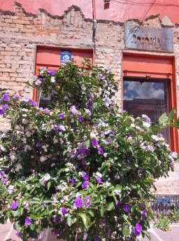 Povoada Gastrobar: Conforto e tranquilidade na Cidade Baixa