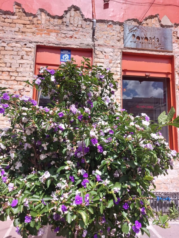 O Povoada &eacute; um lugar que abra&ccedil;a sem aperto Foto: INSTAGRAM/DIVULGA&Ccedil;&Atilde;O/JC