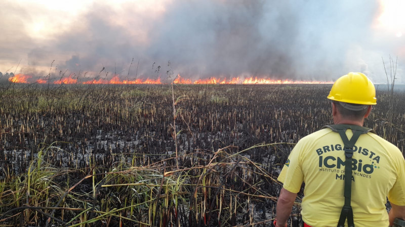 Estação Ecológica do Taim - Instituto Chico Mendes de Conservação da Biodiversidade - ICMBio - incêndio - fogo - rio grande - santa vitória do palmar - reserva ecológica - meio ambiente