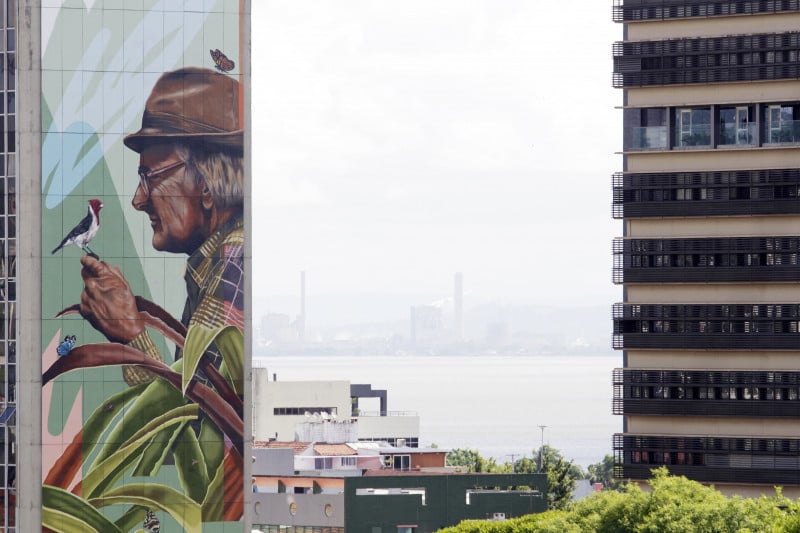 Mural de 750 metros quadrados na empena do prédio do IPE Saúde homenageia o ambientalista José Lutzenberger