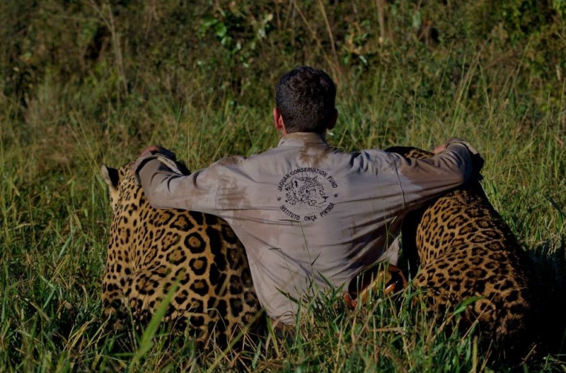Relatório da Secretaria do Meio Ambiente de Goiás apontou a regularidade do IOP