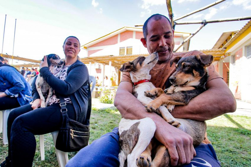 Entre janeiro e dezembro, 138 animais do abrigo municipal foram adotados