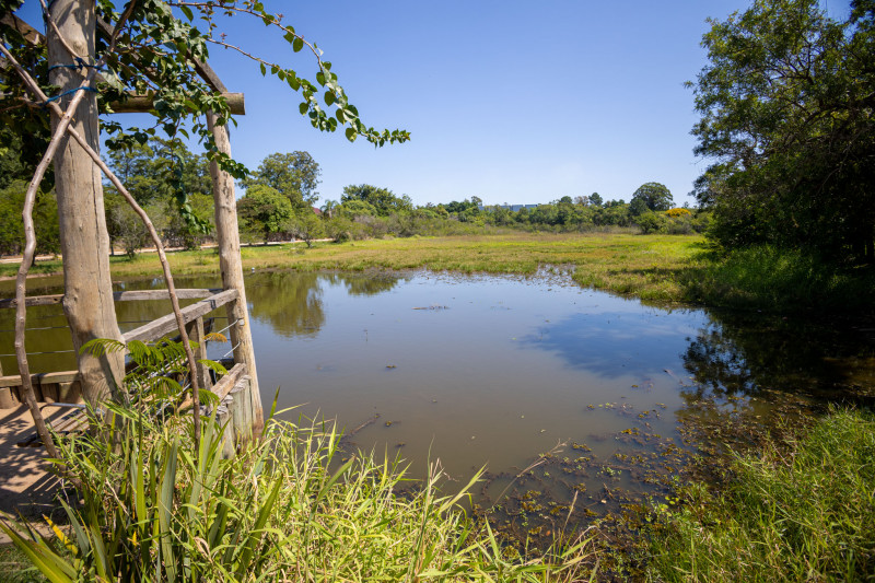 Investimento de R$ 5,1 milhões contempla a recuperação da mata ciliar