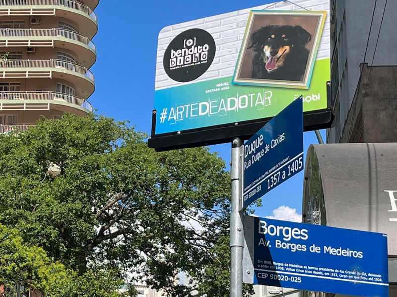 Sinalizações nas esquinas trarão informações sobre os projetos da ONG Bendito Bicho