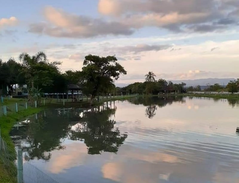 {'nm_midia_inter_thumb1':'https://www.jornaldocomercio.com/_midias/jpg/2023/01/30/206x137/1_sitio_do_caranguejo-9914122.jpg', 'id_midia_tipo':'2', 'id_tetag_galer':'', 'id_midia':'63d7ece209057', 'cd_midia':9914122, 'ds_midia_link': 'https://www.jornaldocomercio.com/_midias/jpg/2023/01/30/sitio_do_caranguejo-9914122.jpg', 'ds_midia': 'S&iacute;tio do Caranguejo, em Novo Hamburgo', 'ds_midia_credi': 'reprodu&ccedil;&atilde;o/JC', 'ds_midia_titlo': 'S&iacute;tio do Caranguejo, em Novo Hamburgo', 'cd_tetag': '1', 'cd_midia_w': '800', 'cd_midia_h': '612', 'align': 'Left'}