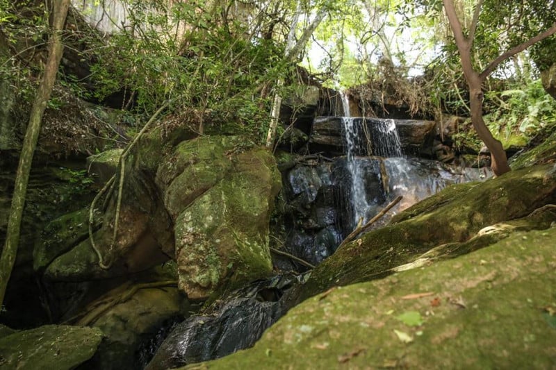 {'nm_midia_inter_thumb1':'https://www.jornaldocomercio.com/_midias/jpg/2023/01/30/206x137/1_trilha_sitio_da_cascata-9914998.jpg', 'id_midia_tipo':'2', 'id_tetag_galer':'', 'id_midia':'63d859e765796', 'cd_midia':9914998, 'ds_midia_link': 'https://www.jornaldocomercio.com/_midias/jpg/2023/01/30/trilha_sitio_da_cascata-9914998.jpg', 'ds_midia': 'Trilha Balne&aacute;rio S&iacute;tio Cascata', 'ds_midia_credi': 'Divulga&ccedil;&atilde;o/JC', 'ds_midia_titlo': 'Trilha Balne&aacute;rio S&iacute;tio Cascata', 'cd_tetag': '1', 'cd_midia_w': '800', 'cd_midia_h': '533', 'align': 'Left'}