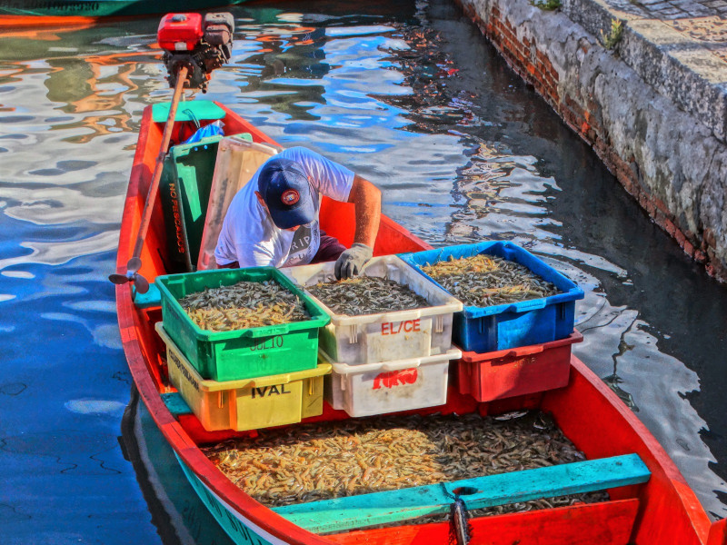 Pescadores de Rio Grande também participaram de capacitações de Boas Práticas de Armazenamento de Pescados