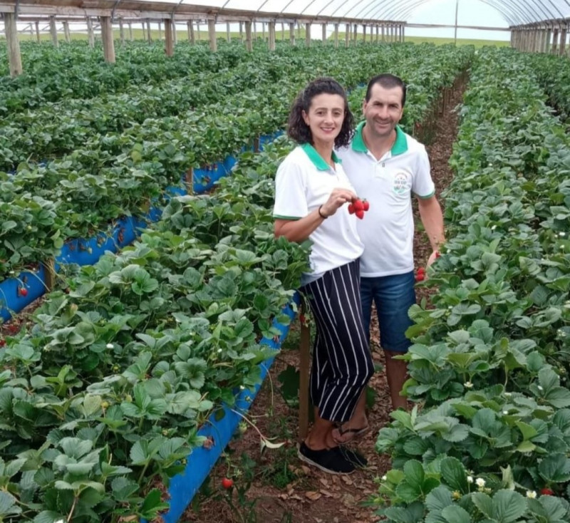ARQUIVO PESSOAL/DIVULGAÇÃO/JC