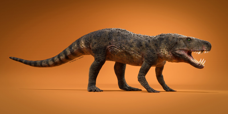 Região central do Estado é uma riqueza inestimável para a paleontologia mundial
