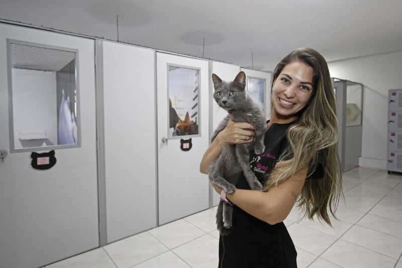 O primeiro gato de Bruna, Tom, foi quem inspirou o nome do neg&oacute;cio Foto: LUIZA PRADO/JC