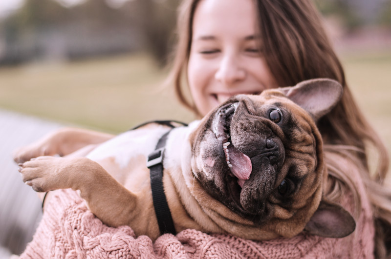 Petlove criou serviço exclusivo para atrair interessados em cuidar dos bichos por temporada