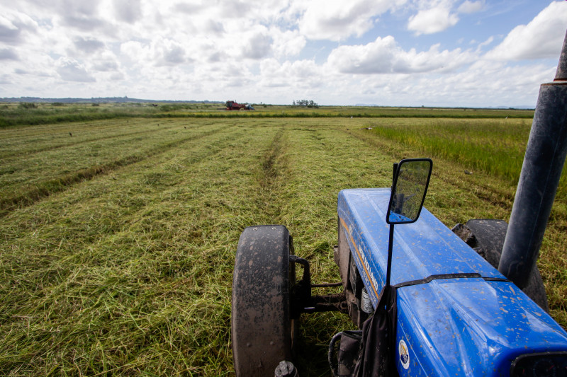 Haverá redução da taxa de juros por parte do governo federal, de 5% para 4% ao ano, para quem produzir alimentos como arroz, feijão, mandioca, tomate, leite e ovos, entre outros