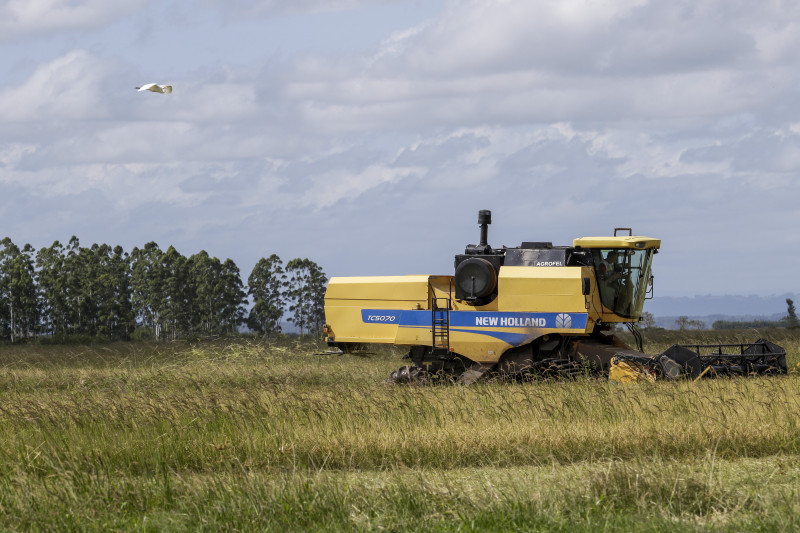 Pela primeira vez, a agropecuária está sendo contemplada no PAC