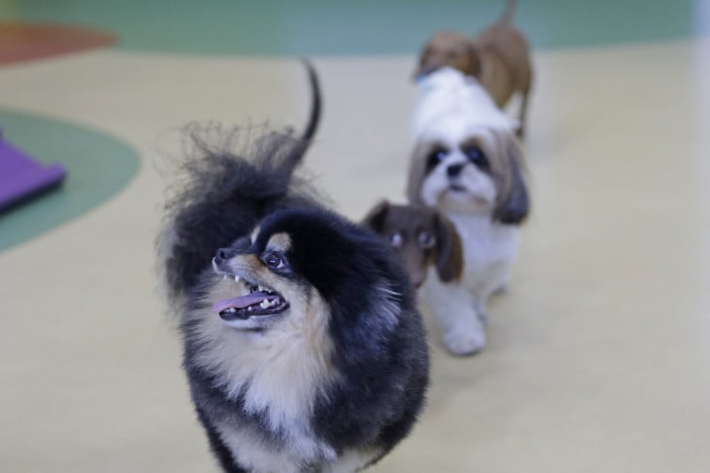 Setor ocupa a segunda posi&ccedil;&atilde;o no varejo nacional