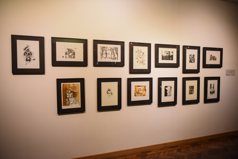 Arte Sky Samuara terá 13 obras fixas em exposição 