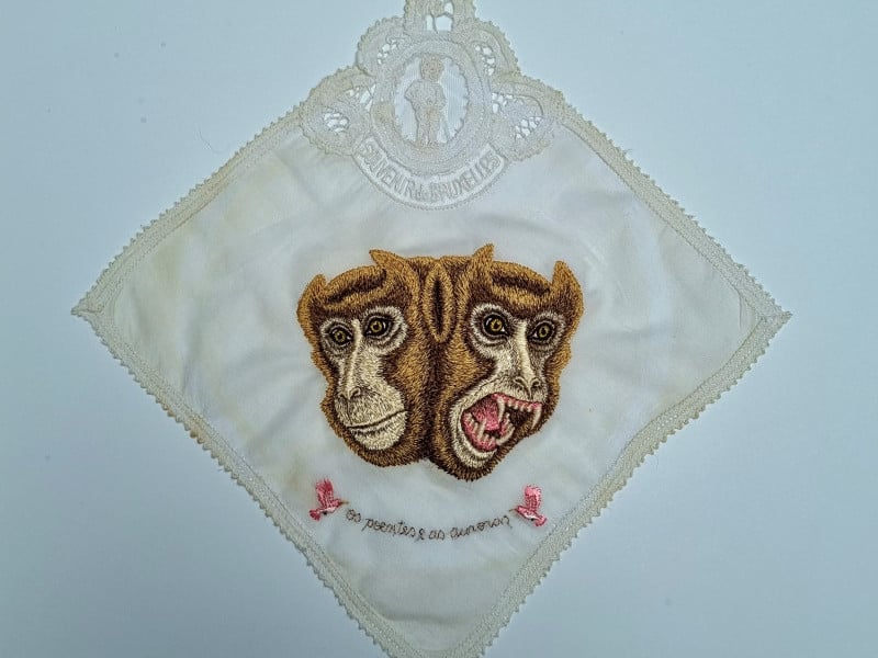 Exposição reflete sobre as relações do homem com o mundo, ficando em cartaz até 29 de abril