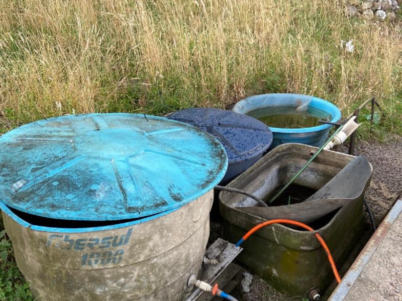 Vigilância Sanitária já contabilizou 348 pontos com larvas do Aedes aegypti, quase metade de todo 2022