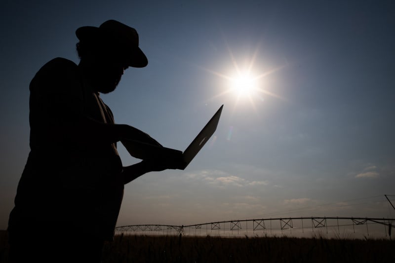 Ferramenta está sendo alimentada com dados da base da CNA com informações sobre diferentes segmentos do agro
