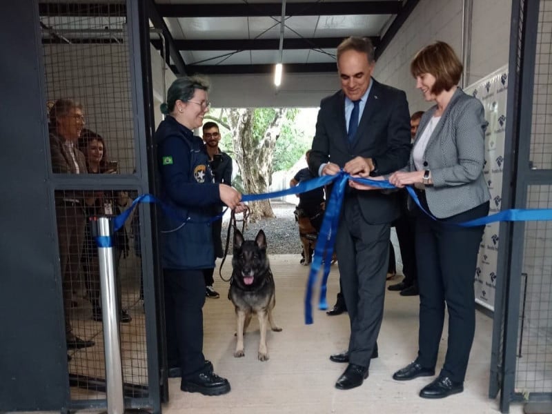 Cães presentes no espaço foram treinados no Espírito Santo